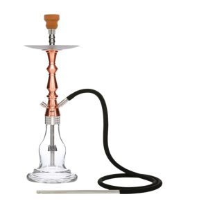Mya Robusto